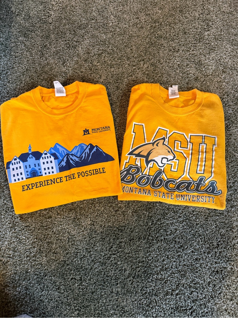 MSU gold Graphic T-Shirts
